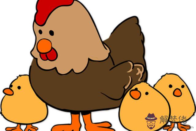 屬雞男和什麼屬相最配 屬雞男的屬相婚配宜忌