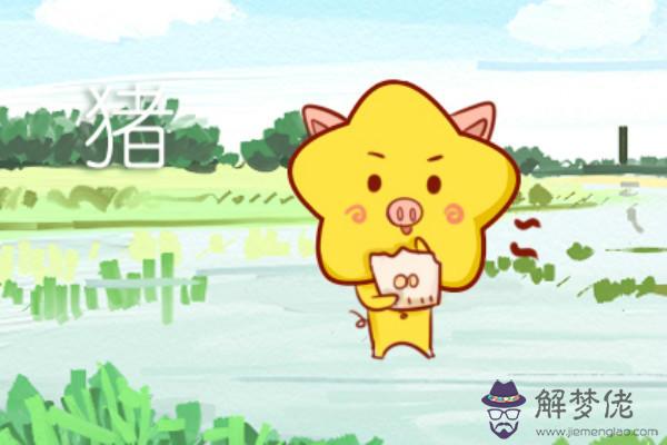 豬猴屬相相配嗎 豬猴不到頭是真的嗎