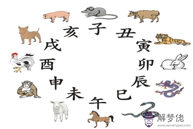 十二生肖婚配查詢表