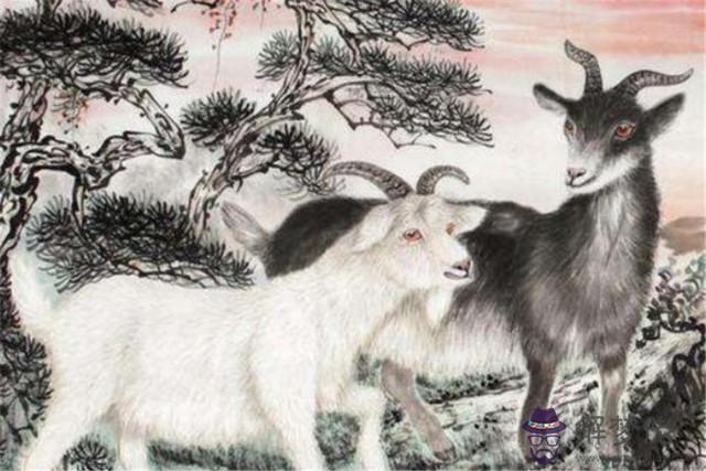 生肖羊和什麼生肖結婚最配 男女屬羊的最佳屬相婚配表