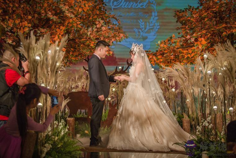 屬狗的三合生肖是什麼