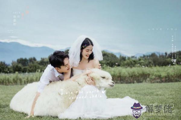 屬狗和屬馬婚姻相配嗎 會幸福長久嗎