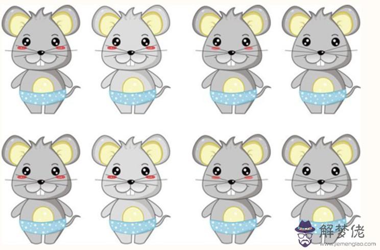 屬鼠跟什麼屬相犯沖 生肖鼠婚配相克屬相