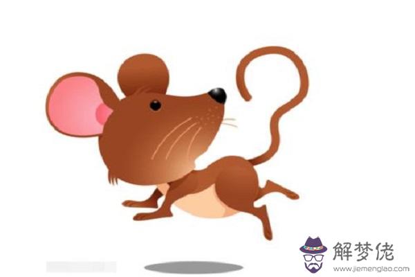 為何屬鼠的不怕本命年 2020年屬鼠本命年會不會很倒霉