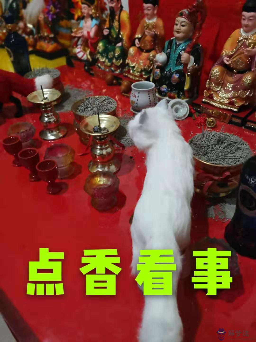 算婚姻網免費算今年運勢：算算今年運程跟婚姻