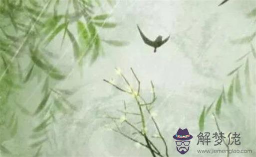 癸水的男人特點 適合癸水男的女人