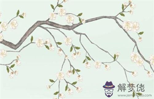 注定喪夫的八字,八字夫星掛于天干