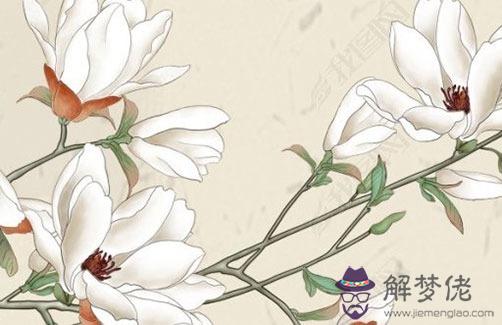 子巳暗合能化嗎,子巳暗合需要滿足哪些條件