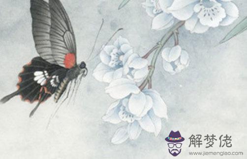 八字卯戌合真愛,八字里有卯戍合夫妻宮