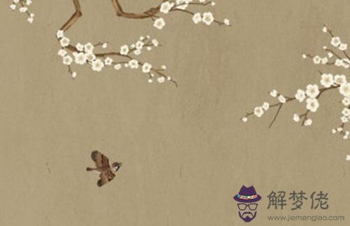 婚姻宮逢合逢沖,婚姻宮逢沖會怎樣