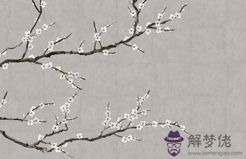 婚姻宮逢合逢沖什麼意思,什麼八字沒有婚姻姻緣