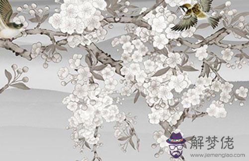 屬虎和屬蛇的婚姻狀況如何,虎蛇相害怎麼破
