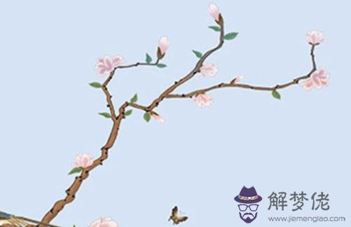 命中注定另一半查詢,測試緣分是否已盡