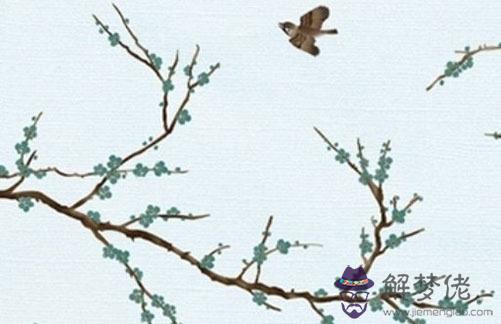 屬虎的和什麼屬相配相克,生肖猴與生肖虎不適合在一起