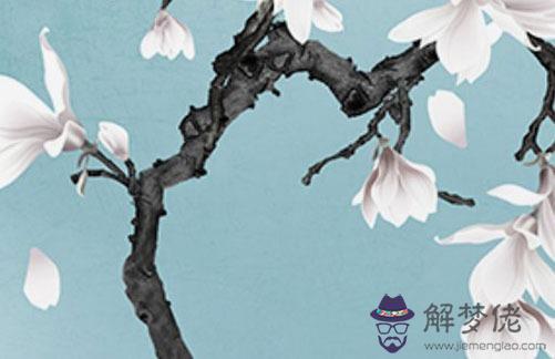 屬虎的不能和什麼屬相在一起,寅虎和申猴合婚化解方法