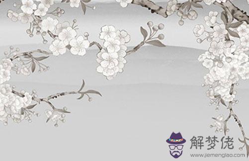 屬兔男與屬虎女婚配好嗎,雙方難以有共同興趣