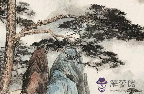 虎和雞屬相合不合,生肖虎與雞婚姻運勢表現較好