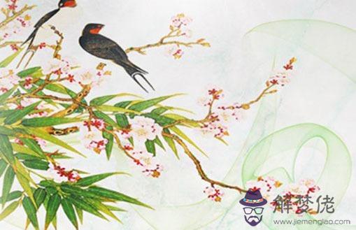 夫妻宮天機巨門的女生,天機星善于權變象征什麼