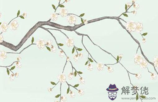 夫妻宮太陽太陰一定會出軌嗎,太陽太陰同坐夫妻宮