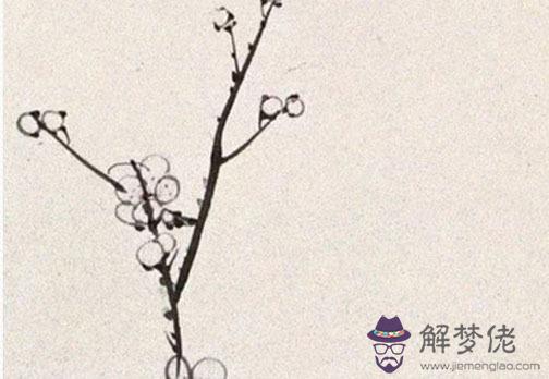 女命武曲星在夫妻宮必離婚,武曲星化氣為財
