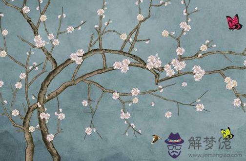 豬和狗在一起對誰不利,生肖豬看不慣生肖狗的脾氣