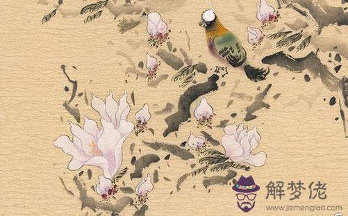 流年夫妻宮貪狼星,此情況男命優于女命嗎