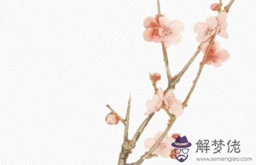 紫微貪狼入夫妻宮必離,女命個性豪爽