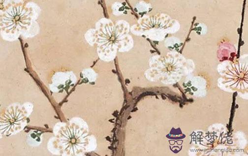 屬虎的和什麼屬相最配,冥冥之中皆有定數