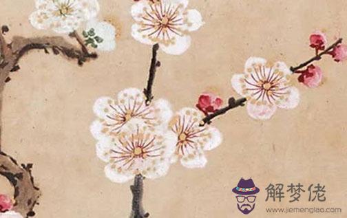 屬牛與屬虎的相配嗎,屬虎和屬牛的婚姻如何