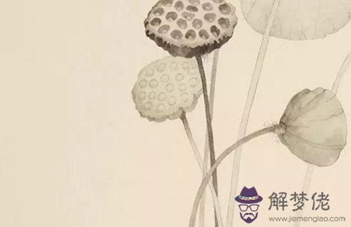 八字測試另一半長相準到嚇人,八字看另一半的身高