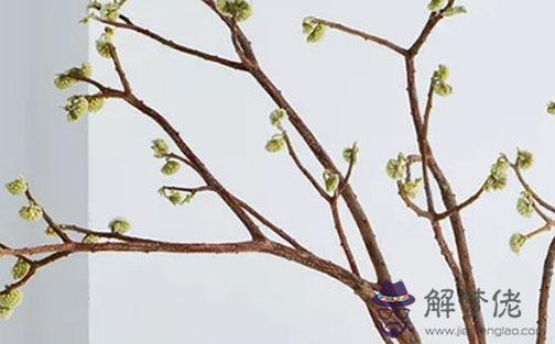 夫妻宮武曲化忌會離婚嗎,武曲星看另一半
