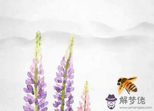 婚姻宮和配偶宮的區別,婚姻宮動分為幾種