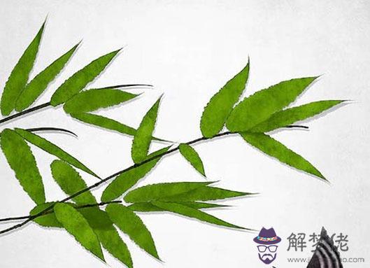 夫妻宮看配偶長相,夫妻宮有天相星另一半白胖