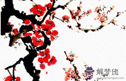 暗合的感情有結果嗎,合為忌用有變故