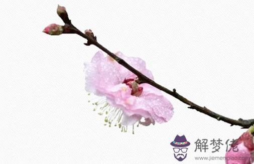 八字婚姻宮在哪個位置,生辰八字婚姻宮解析