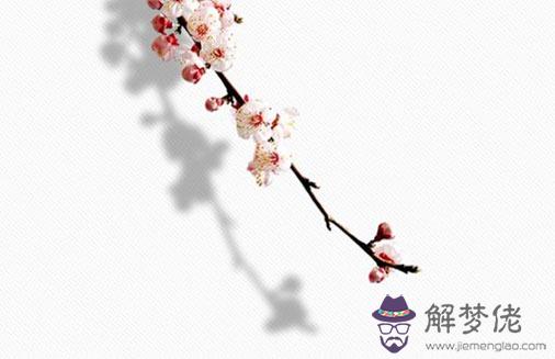 八字婚姻宮在哪個位置,生辰八字婚姻宮解析