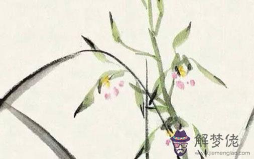 屬虎女吸引什麼生肖男,最般配的屬相為生肖豬