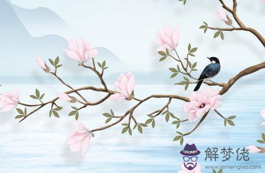 85屬牛配86屬虎,牛女虎男在一起好不好