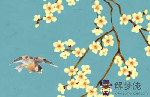 如何查自己婚姻宮,八字婚姻宮看配偶情況