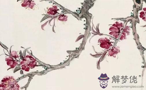 必嫁貴夫的紫微斗數,夫妻宮有天同星