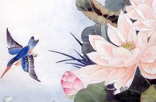 丈夫克妻最好離婚嗎,危害大者離婚最佳