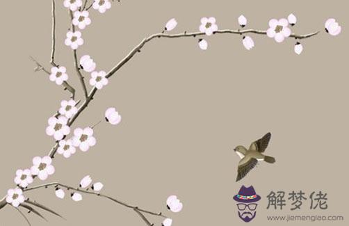 子午沖的人婚姻一定不好嗎,子午相沖化解方法