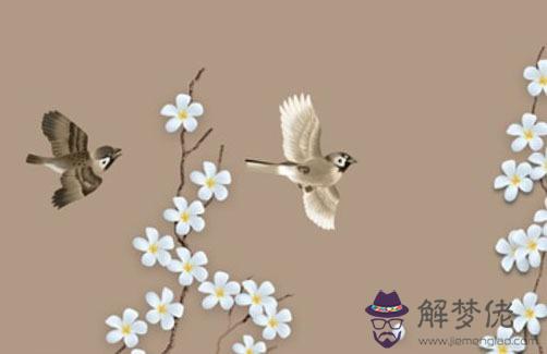 婚姻宮巳亥沖代表什麼,巳亥相沖在各宮位的不同象義