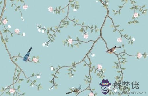 男虎女虎一對虎一世苦,路遇坎坷吵架不斷