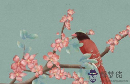 虎蛇婚配大吉,虎與蛇婚配財運易受影響