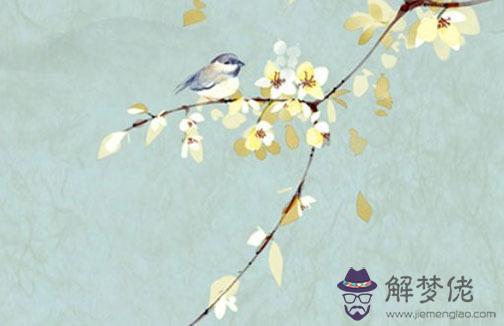 名字夫妻相測試詳細版,姓名測試兩人婚姻