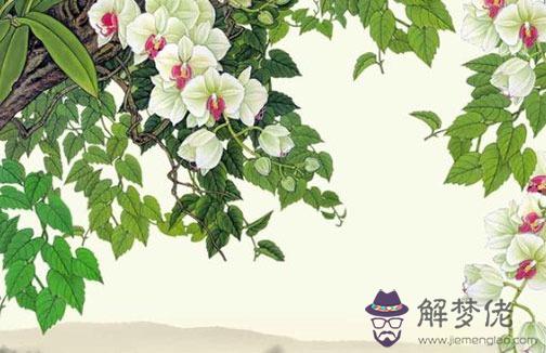情侶姓名配對測試打分,名字判斷兩人合不合適