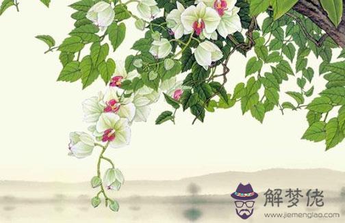 情侶姓名配對測試打分,名字判斷兩人合不合適