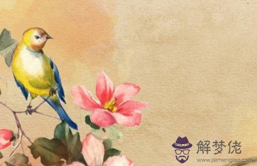免費看命算姻緣另一半,生辰八字看婚期