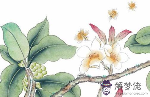 用兩個人的名字算姻緣,雙方姓名看兩人合不合